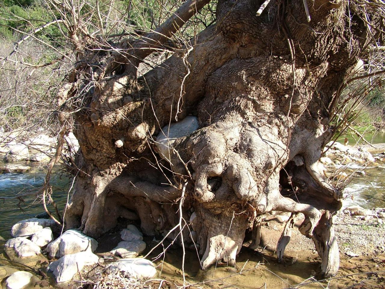 Νύμφες Βίλα Πόρτο Χέλι Εξωτερικό φωτογραφία